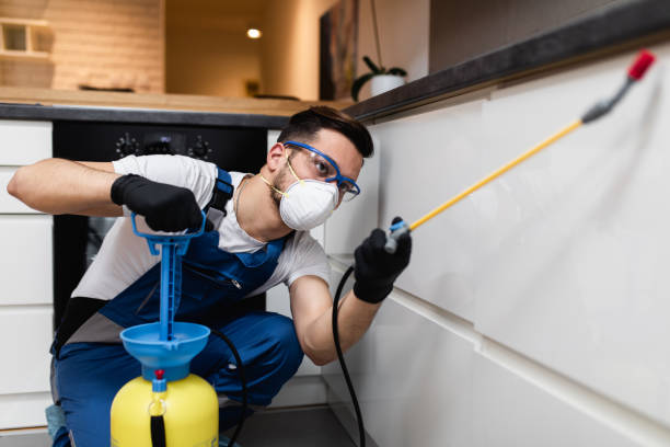 Best Pest Prevention Services  in Belterra, TX