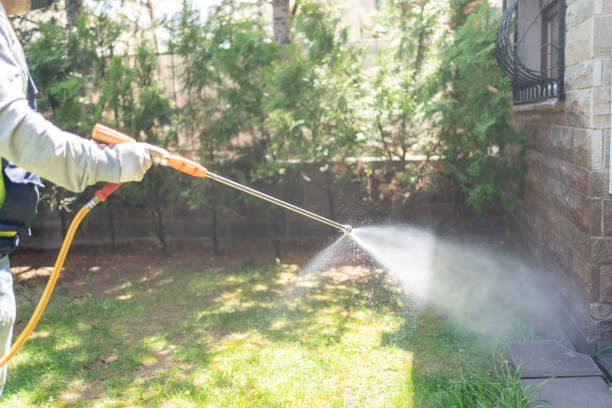 Best Local Pest Control Services  in Belterra, TX