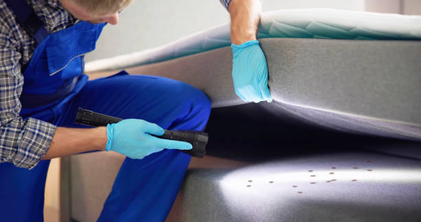 Best Rat Extermination Near Me  in Belterra, TX