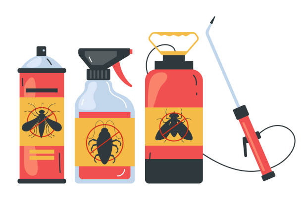 Best Bed Bug Extermination  in Belterra, TX