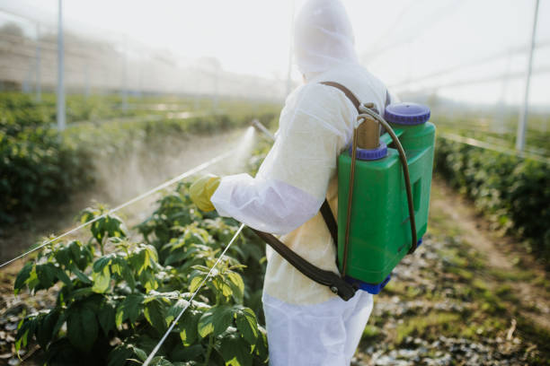 Best Pest Control Cost  in Belterra, TX